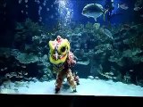 Underwater Lion Dance in Malaysia