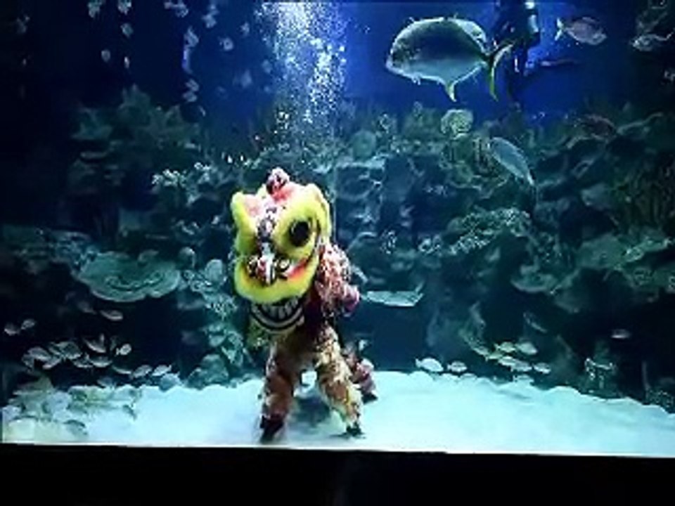 Underwater Lion Dance in Malaysia