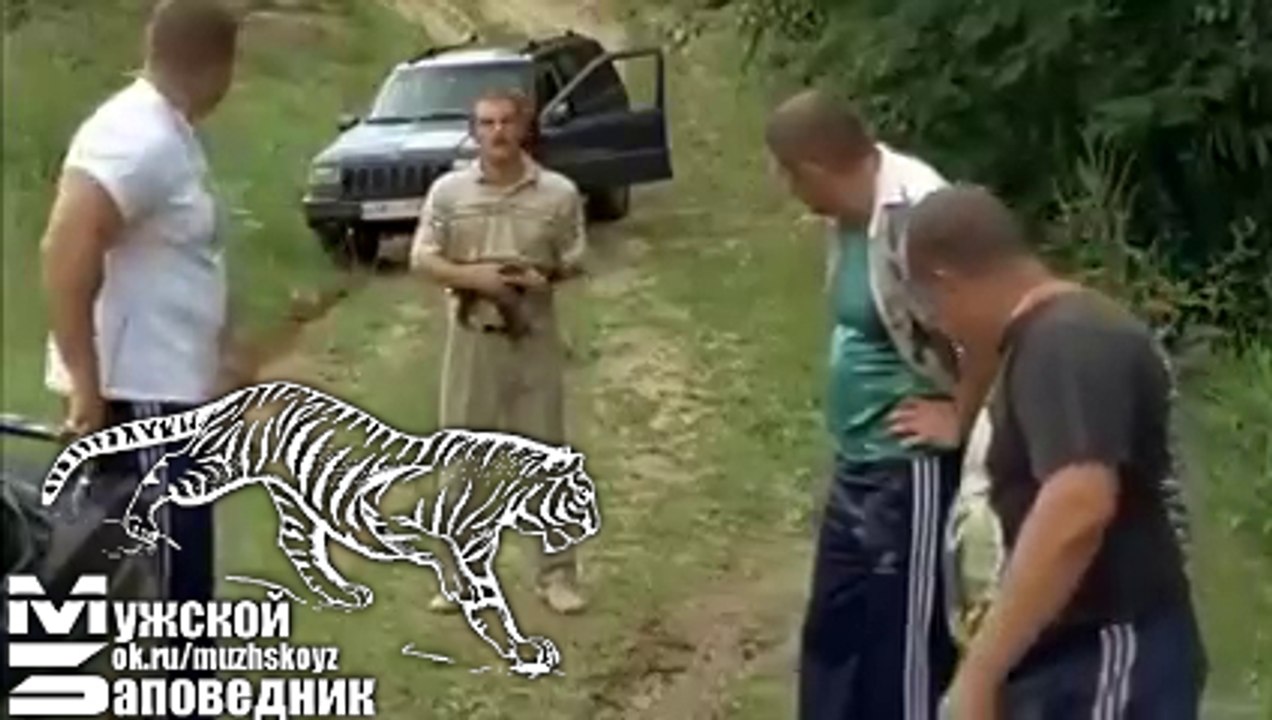 Десантники мы