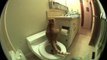 Marmalade The Cat Uses The Toilet And Flushes When He Is Done