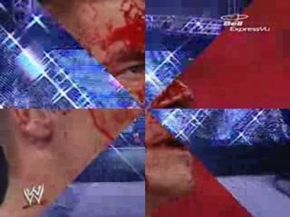 Royal rumble 2007