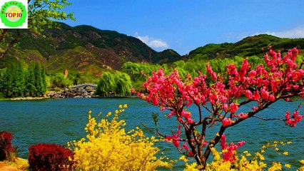 Top Most Beautiful Places in India