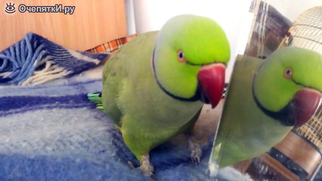 Ты кто такой