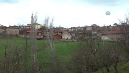 Badem Ağaçları "Yalancı Bahar"A Aldandı