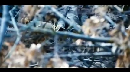 바카라사이트だ＼＼【KOP77。COM】＼＼む월드바카라게임바카라주소