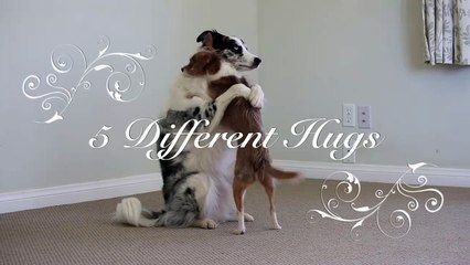 Different Hugs for Valentines Day!