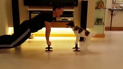 Sahibiyle Birlikte Spor Yapan Dünyanın En Fit Köpeği