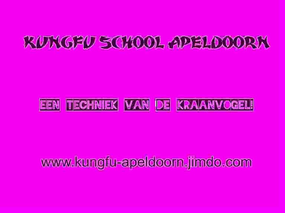 Kraanvogel van de Ng Ying Kungfu Apeldoorn