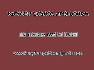 Slang van Ng Ying Kungfu Apeldoorn