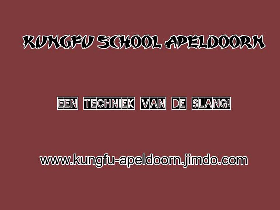 Slang van Ng Ying Kungfu Apeldoorn