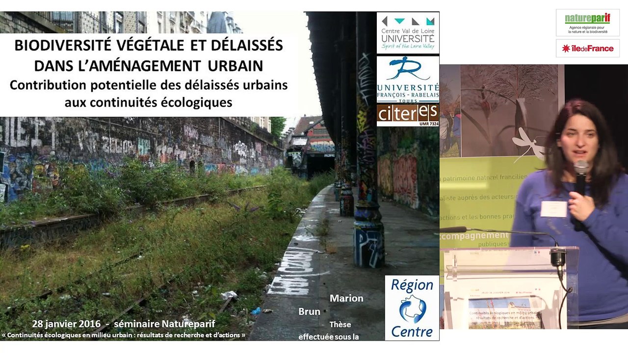 Biodiversité végétale et délaissés dans l'aménagement urbain : contribution potentielle des délaissés urbains aux continuités écologiques. Marion Brun, Université de Tours.