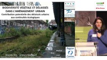 Biodiversité végétale et délaissés dans l'aménagement urbain : contribution potentielle des délaissés urbains aux continuités écologiques. Marion Brun, Université de Tours.