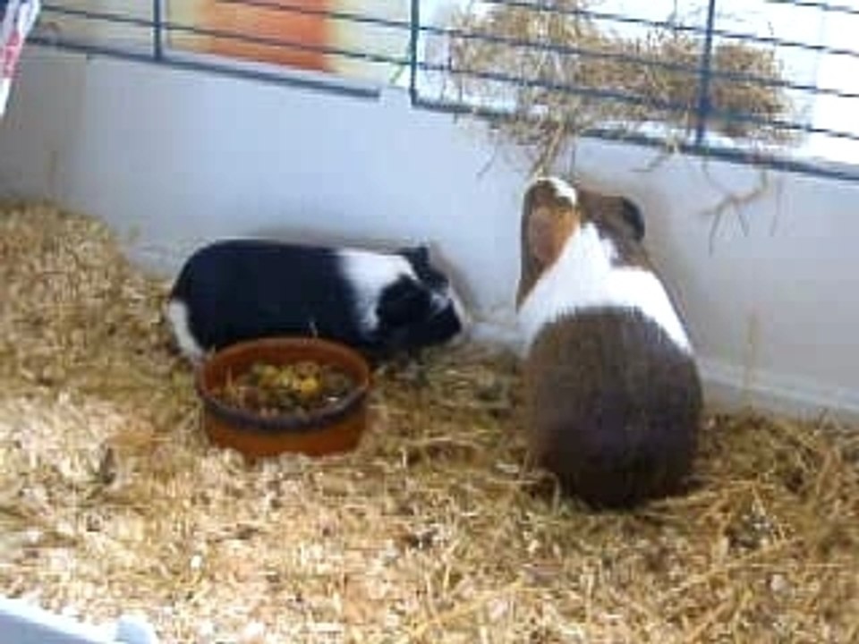 Roxy, Tohru et le hamac 2