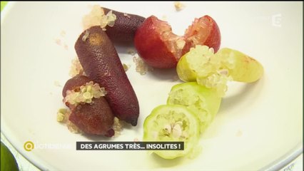 Des agrumes très… insolites!