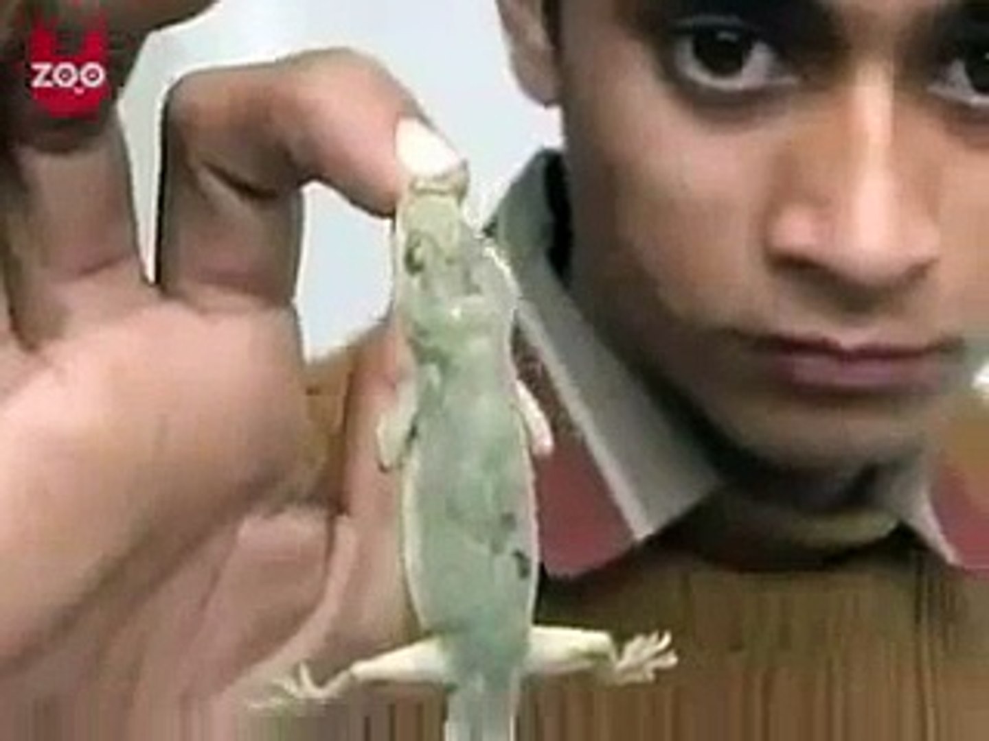 funny  video new video latest videos upcoming videos HD videos amazing new videos