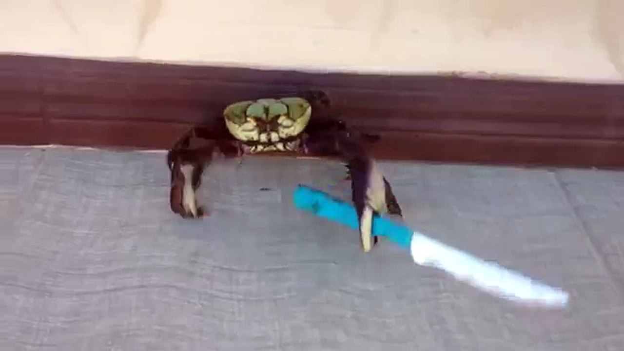 Gangsta Crabe