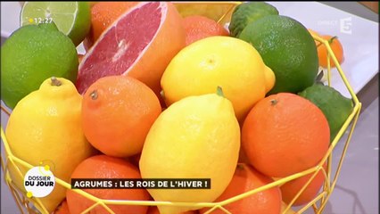 Dossier du Jour : Les agrumes
