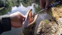 Very big Pikes on spinning. Here's how to catch pike.
