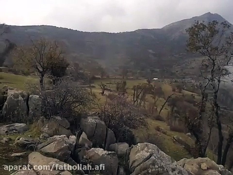 iran
