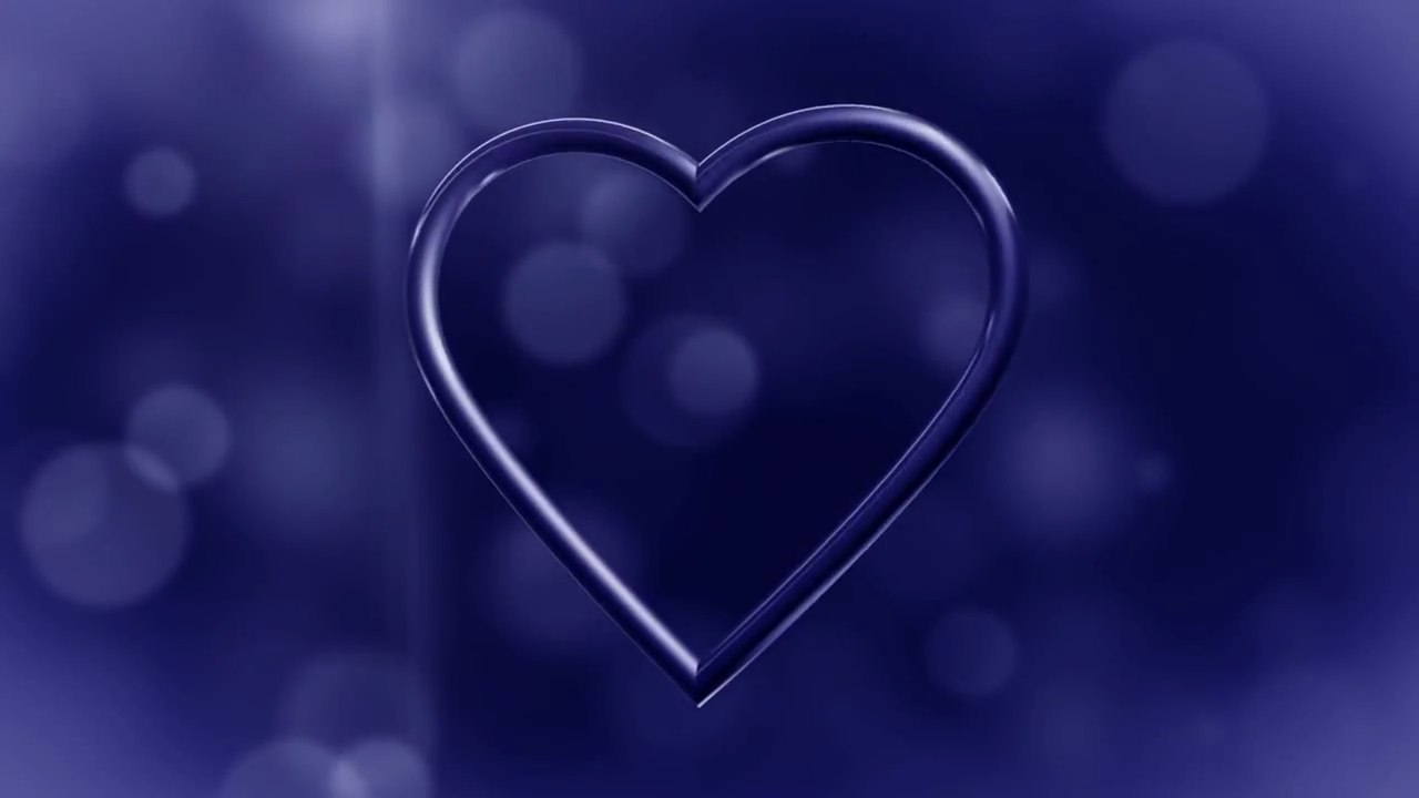 Video Background HD - Wedding HD - Footage HD