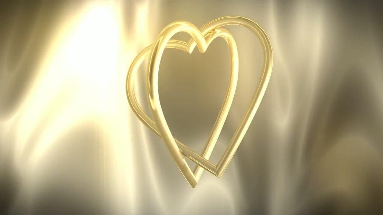 Video Background HD - Wedding HD - Footage HD