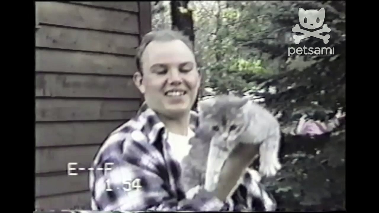 Kitten latches onto man's face in fear of being eaten by a dog