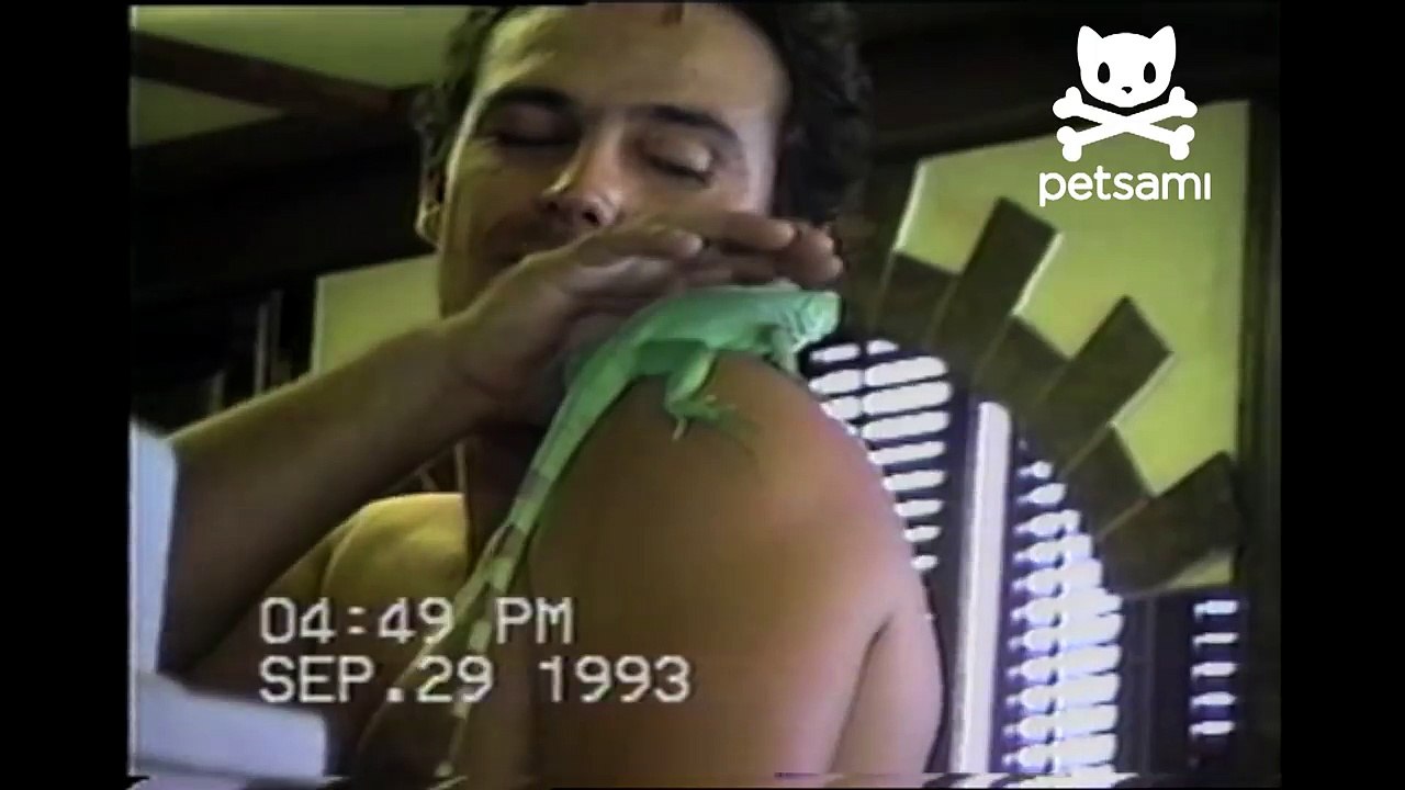 Lizard bites man's tongue