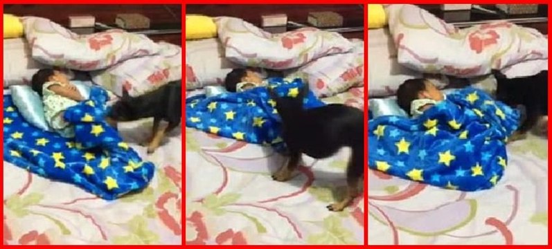 Sevimli ikili izlenme rekorları kırıyor