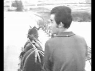 Dick Rivers - Ne lui dis rien