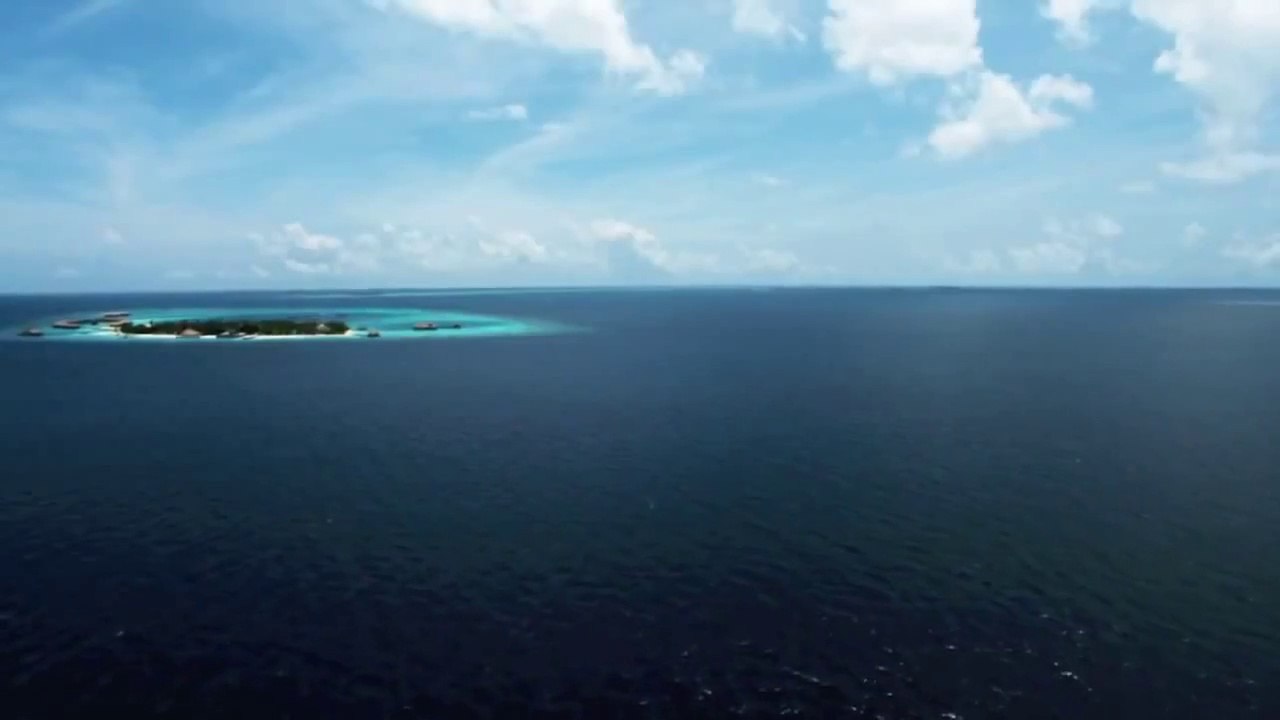 Это просто чудо ! Очень красиво