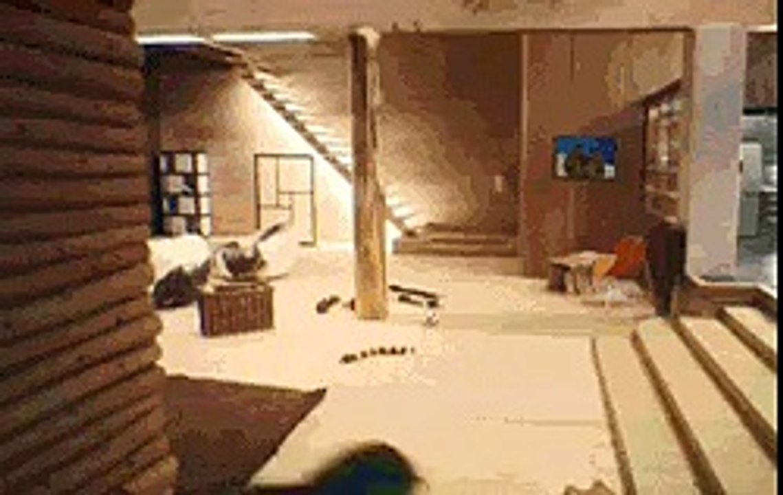 kuşların bir günü :)