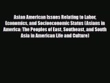 [PDF] Asian American Issues Relating to Labor Economics and Socioeconomic Status (Asians in
