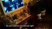 Котэ с удовольствием смотрит фильм. cat is watching scientific film about aliens