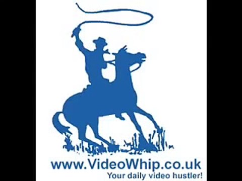 Очень злой кот