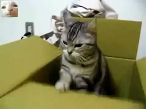 Радистка Кэт. Юстас - Алексу. Я смеялся 10 минут