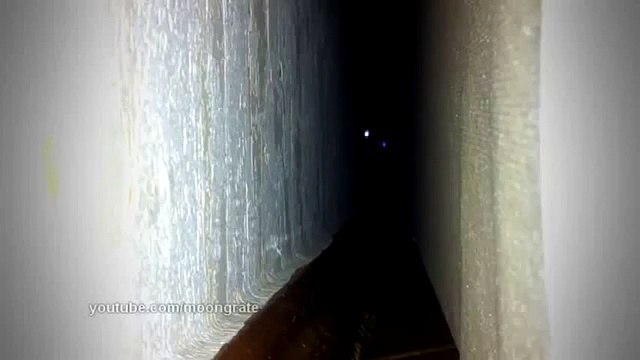 Смешные кошки в интернете. Кот из ада. Funny Cat Videos