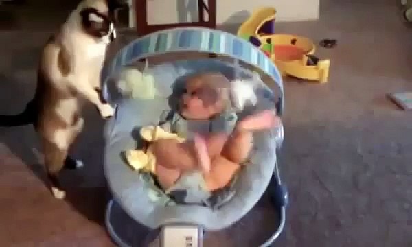 Кот воспитывает ребенка