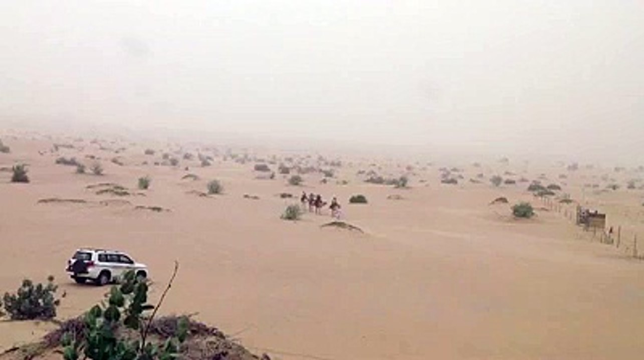 Evening Desert Safari with Camel Riding