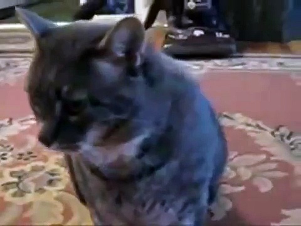 Котик - неваляшка