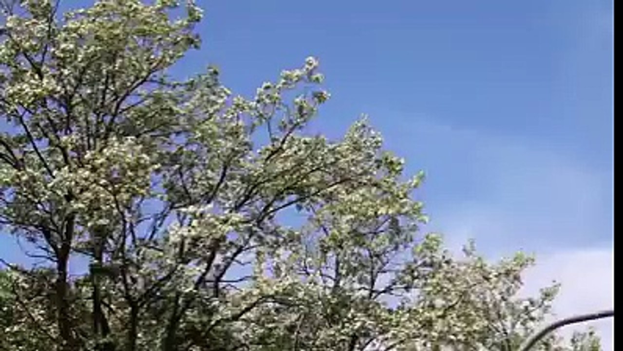 amezing
