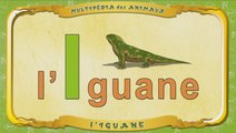 Multipédia des animaux. La lettre I - l'Iguane