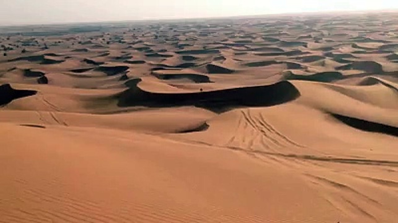 Morning Desert Safari with Quad Biking
