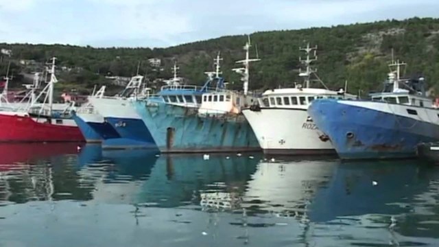 Report TV - Crown : Ja si bëhet kontrabanda e naftës nga importi e prodhimi vendas