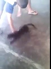 funny clips-funny videos (mast mahol )[12]