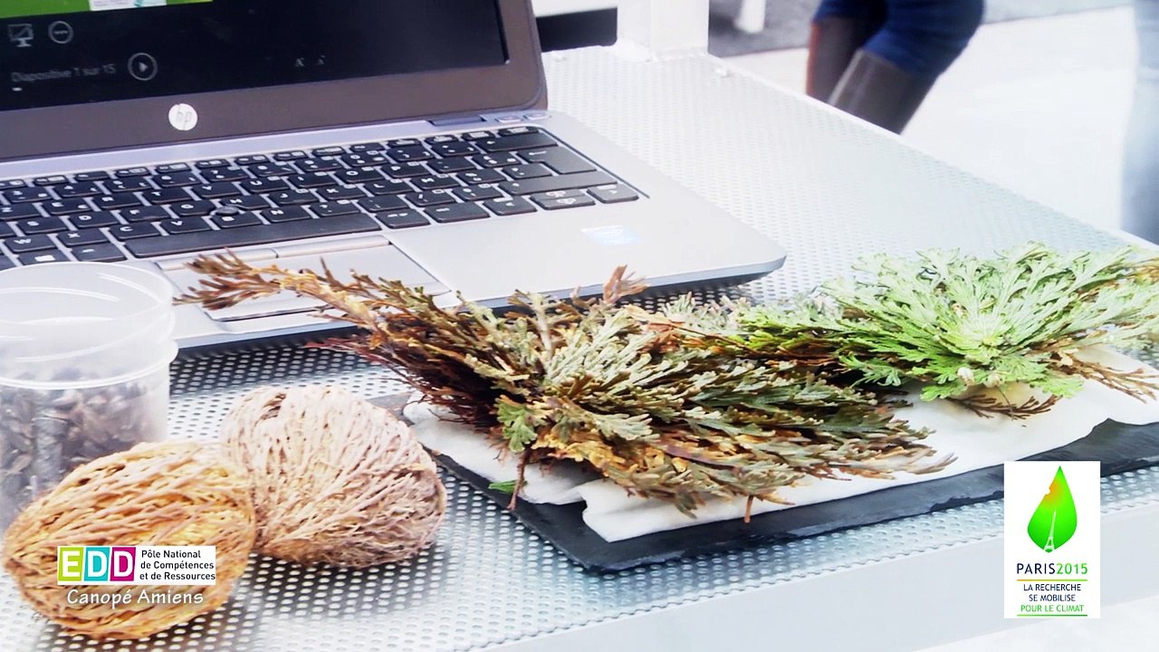 Olivier Leprince, Professeur à agrocampus ouest