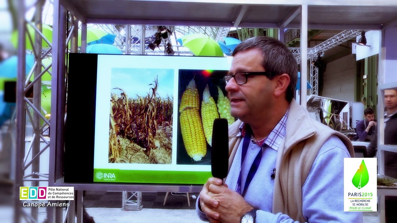 Olivier Leprince, Professeur à agrocampus ouest, miniconférence