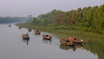Fishing & Beautiful Fishing Boats In Sundarbans, Bangladesh