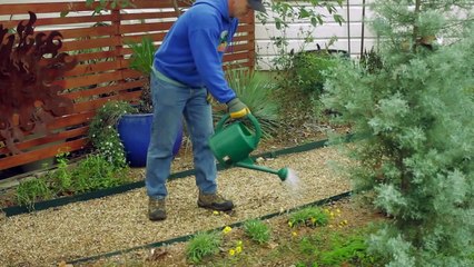 Garden Tool Guides - How to Use a Watering Can