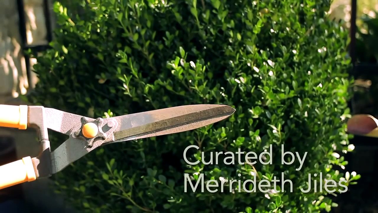 Garden Tool Guides - How to Use Hedge Shears