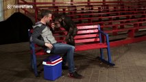 Chimps amazed by iPad magic tricks